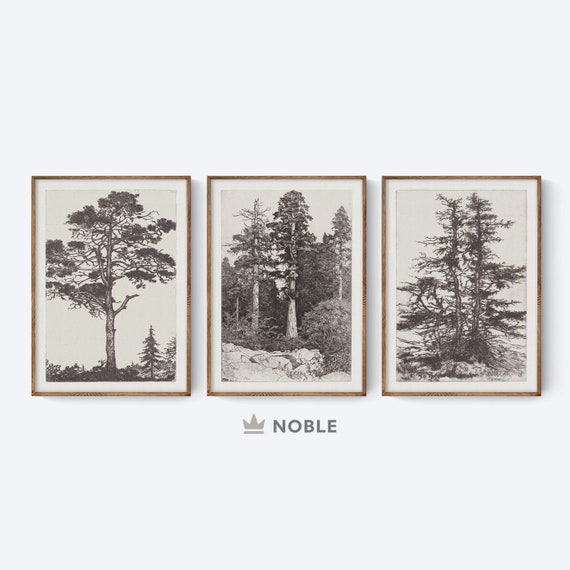 Vintage Gallery Wall Print Set, Set of 3, Printable, Tree Sketches Etching Print, Forest Print, Farmhouse Art Set, Digital Download #2