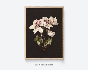 Dark Floral Wall Art, Printable Wall Art, Moody Botanical Print, Dark Academia Decor, Digital Download 02