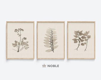 Vintage botanische Drucke, 3er Set Galerie, antike botanische Drucke, rustikale botanische Kunst, Vintage neutrale botanische Drucke, gedämpfte Kunst, B44