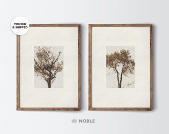 Set of 2 Tree Drawing Prints, PRINTED AND SHIPPED, Vintage Etching, Tree Sketch Art, Forest Drawing, Giclée Art, Rustic Art, Brown Print