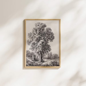 Vintage Baum Zeichnung Wandkunst, bedruckbar, neutrale Natur Wanddruck, rustikale Landschaft, Wohnzimmer, Baum Skizze Kunst, digitaler Download DR64
