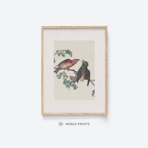 Bird Study Painting, Printable, Vintage, Rustic, Digital Download