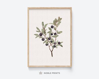 Vintage Blumen Zeichnung, druckbare, Blaubeere Malerei, neutrale Töne Drucke, Vintage botanische, neutrale Wandkunst, gedämpfte, digitale Downloads