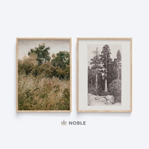 Peut inclure: Deux impressions encadr&eacute;es de sc&egrave;nes de for&ecirc;t. L'impression de gauche montre une for&ecirc;t verdoyante luxuriante avec de grands arbres et un champ de fleurs sauvages. L'impression de droite montre une illustration en noir et blanc d'une for&ecirc;t avec de grands arbres.