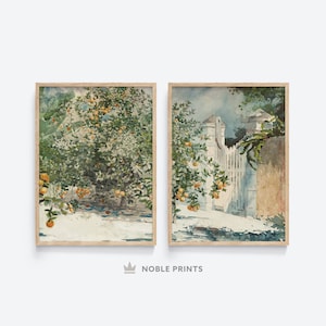 May include: Two watercolour paintings of orange trees. The first painting shows a close-up of a tree with ripe oranges. The second painting shows a tree with oranges in the foreground and a white gate in the background.