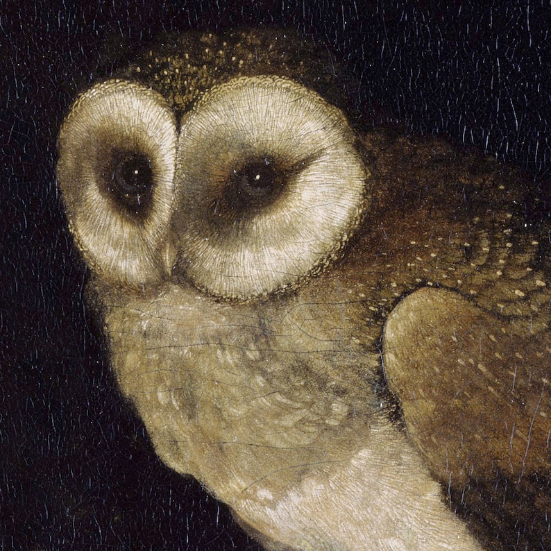Antique Owl Painting, Printable, Dark Academia Decor, Gothic Wall Art ...