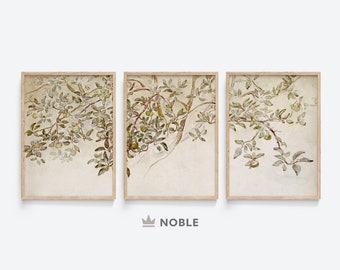 Vintage Apple Tree Set of 3 Prints, Printable, Vintage Gallery Wall Set, Digital Download