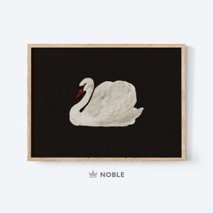 May include: A white swan with a red beak is depicted against a black background. The swan is in a graceful pose with its wings spread out. The image is framed in a simple wooden frame.