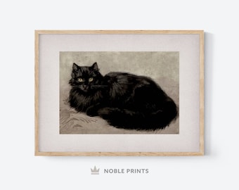 Vintage Black Cat Print, Printable, Animal Antique Wall Art, Halloween Home Decor, Moody Gothic Print, Downloadable Art, Printable Wall Art