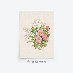 K&ouml;nnte beinhalten: Eine Vintage-botanische Illustration eines Strau&szlig;es mit rosa Rosen und lila Bl&uuml;ten mit gr&uuml;nen Bl&auml;ttern.