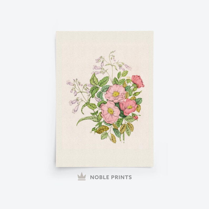 K&ouml;nnte beinhalten: Eine Vintage-botanische Illustration eines Strau&szlig;es mit rosa Rosen und lila Bl&uuml;ten mit gr&uuml;nen Bl&auml;ttern.
