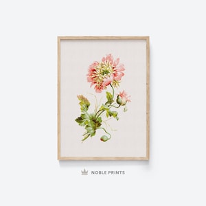 Antique Wildflower Painting, Printable Wall Art, Moonid Flower Wall Art, Vintage Painting, Neutral Rustic Style, Spring Flower