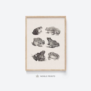 Vintage Frogs and Toads Print, Printable, Moody Gothic Print, Dark Academia Print, Neutral, Digital Printable Download