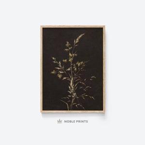 Dark Botanical Wall Art, Printable Wall Art, Dark Academia Decor, Moody Floral Print, Digital Download 04