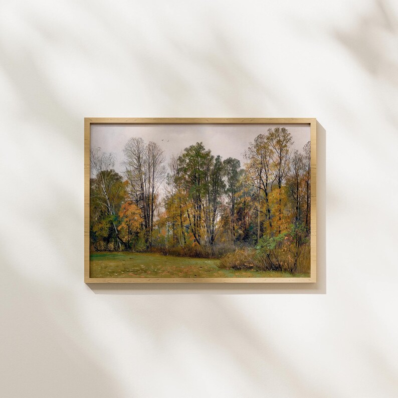 Op de afbeelding: Een ingelijste landschapsfoto van een boslandschap met bomen in verschillende tinten groen, geel en bruin. De bomen bevinden zich op de achtergrond en de voorgrond is een grasveld.
