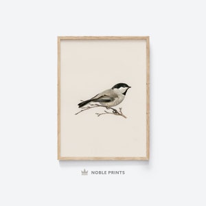 Antique Bird Art Print, Printable Wall Art, Chickadee Wall Art, Nursery Wall Art, Neutral Wall Art, Digital Wall Art Download