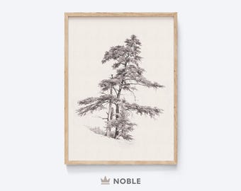 May include: A black and white line drawing of a tree with branches reaching out to the sides. The tree is set against a white background and framed in a light wood frame.
