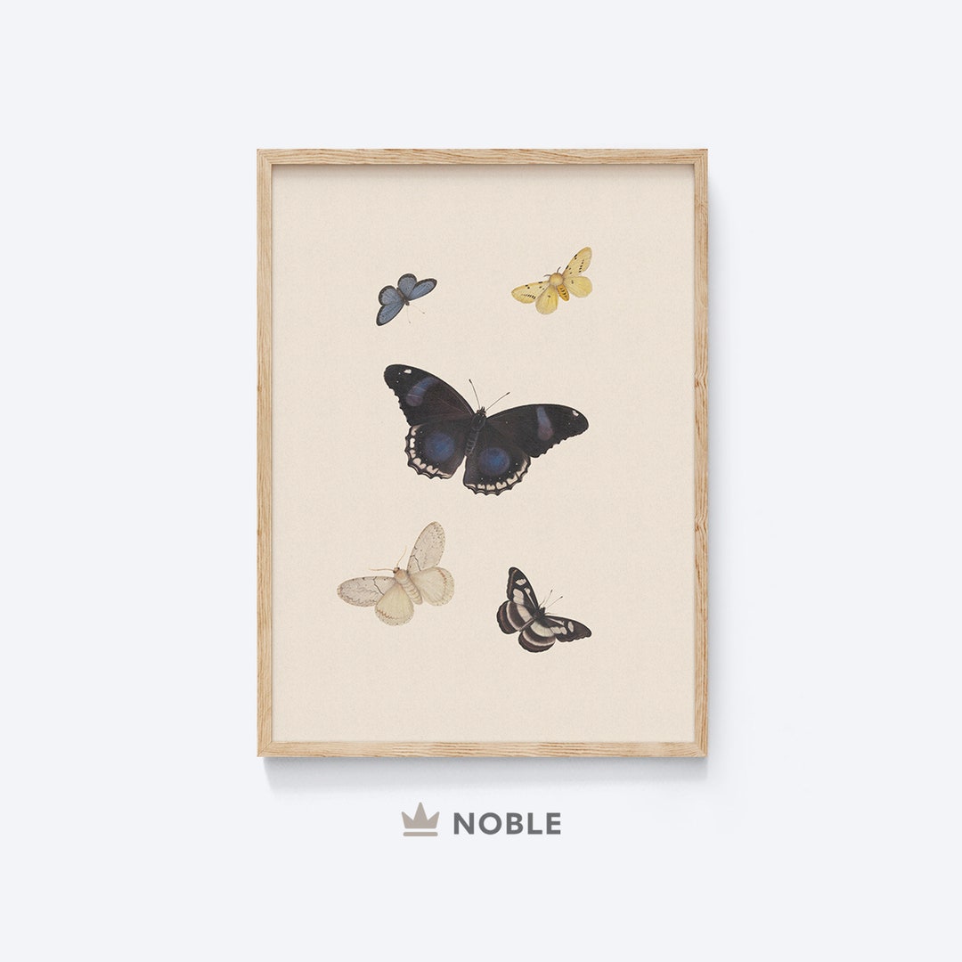 Butterflies Print, Vintage Nursery Decor, Vintage Butterfly Wall Art ...