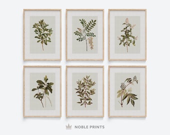 Vintage Botanische Galerie Wanddruck, 6er-Set, antike Kunst, bedruckbar digital, rustikale Wanddekoration