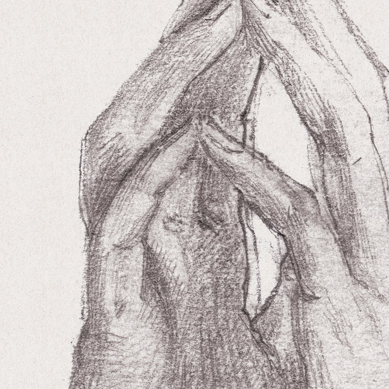 Vintage Hand Drawing Printable Art Sketch of Hands Antique - Etsy