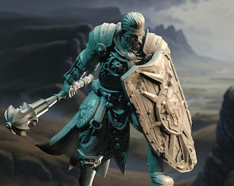 Human Paladin | Of Elves & Men | DM Stash