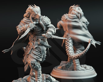 Dragonborn Rogue - Umbrascale / Rise of the Dragon / DM Stash