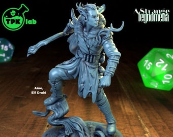 Elf Druid | A Strange Feynomena | TPK Lab