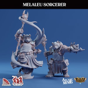 Pandaren Sorcerer | Risky Racing | Arcane Minis