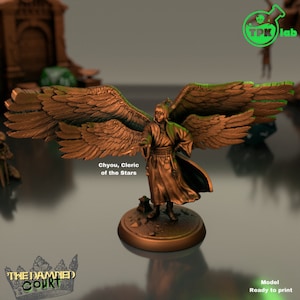 Cleric of the Stars | The Damned Court | TPK Lab
