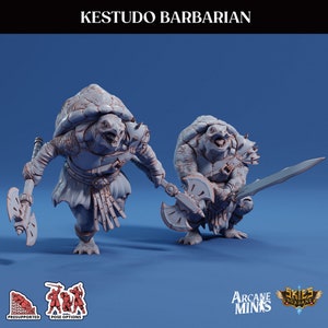 Schildkröte Barbarian | Risikoreiches Rennen | Arkane Minis