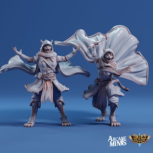 Tabaxi Sorcerer | Arcane Minis