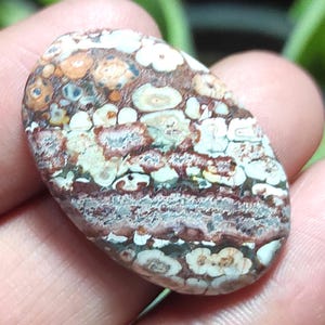Pietra di diaspro naturale effetto pelle di leopardo, cabochon di diaspro effetto pelle di leopardo, pietra preziosa ovale di diaspro, cristallo curativo di diaspro per gioielli con ciondolo