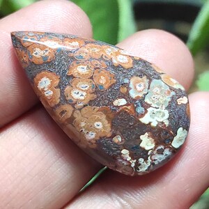 Pietra di diaspro naturale effetto pelle di leopardo, cabochon di diaspro effetto pelle di leopardo, pietra preziosa di diaspro a forma di pera, cristallo curativo di diaspro per gioielli con ciondolo.