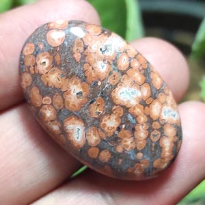 Pietra di diaspro naturale effetto pelle di leopardo, cabochon di diaspro effetto pelle di leopardo, pietra preziosa di diaspro ovale, cristallo di diaspro curativo per anello, pietra per gioielli con ciondolo