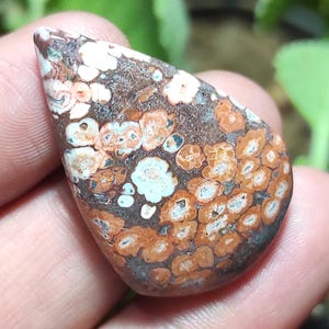 Pietra di diaspro naturale effetto pelle di leopardo, cabochon di diaspro effetto pelle di leopardo, pietra preziosa di diaspro a forma di pera, cristallo curativo di diaspro per gioielli con ciondolo.