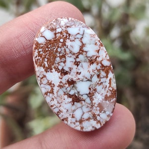 Wildes Pferd Magnesit Edelstein, ovales wildes Pferd Magnesit Jaspis Edelstein, wildes Pferd Cabochon, wildes Pferd Anhänger, Cabochon für Schmuck