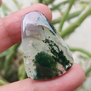 Cabujón de ágata musgosa natural suelto, hermoso diseño de ágata musgosa, ágata musgosa translúcida, ágata musgosa de fantasía