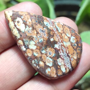 Pietra di diaspro naturale effetto pelle di leopardo, cabochon di diaspro effetto pelle di leopardo, pietra preziosa di diaspro a forma di pera, cristallo curativo di diaspro per gioielli con ciondolo.