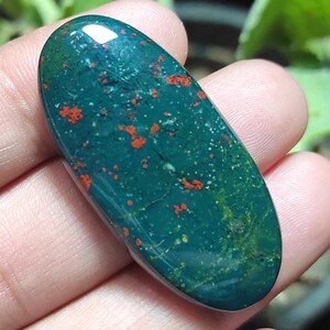 Cabochon di eliotropio naturale, pendenti cabochon di eliotropio, pietra preziosa ovale di eliotropio, eliotropio sfuso, pietre per gioielli a prezzo all'ingrosso