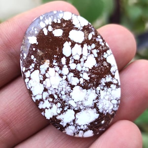 Natürlicher Wildpferd Edelstein, Oval Form Wildpferd Cabochon, Türkis Cabochon, Wildpferd Stein, Wildpferd Magnesit, Wildpferd Jaspis