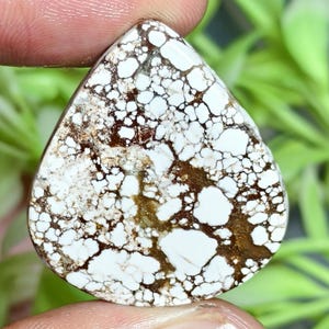 May include: A pear-shaped white turquoise gemstone featuring a complex web of dark brown matrix patterns throughout the surface. The stone has a smooth, polished finish and exhibits a high-contrast design with irregular white patches.