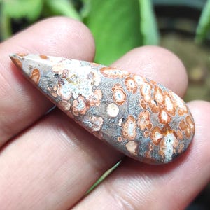Pietra di diaspro naturale effetto pelle di leopardo, cabochon di diaspro effetto pelle di leopardo, pietra preziosa di diaspro a forma di pera, cristallo curativo di diaspro per gioielli con ciondolo.