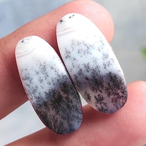 Dendritenopal Cabochon Paar, Dendritenopal Edelstein, polierter Edelstein, Opalform Edelstein Lose Edelstein Dendrit Opal Herstellung für Schmuck