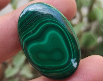 Cabochon di malachite verde naturale, pietra preziosa di malachite verde liscia, bella pietra preziosa di malachite lucida su un lato, parte posteriore piatta, malachite ovale
