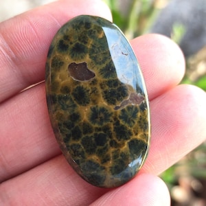 Cabujón de jaspe oceánico natural raro, cabujón liso pulido con parte posterior plana, forma ovalada, cristal de jaspe oceánico de calidad AAA+ para fabricación de joyas