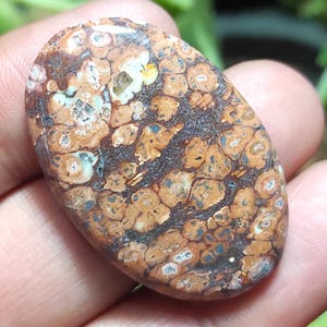 Pietra di diaspro naturale effetto pelle di leopardo, cabochon di diaspro effetto pelle di leopardo, pietra preziosa ovale di diaspro, cristallo curativo di diaspro per gioielli con ciondolo