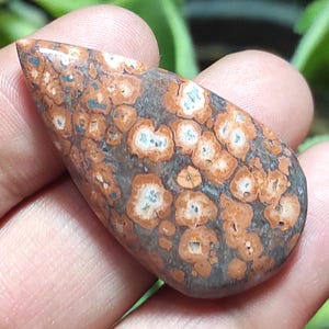 Pietra di diaspro naturale effetto pelle di leopardo, cabochon di diaspro effetto pelle di leopardo, pietra preziosa di diaspro a forma di pera, cristallo curativo di diaspro per gioielli con ciondolo.