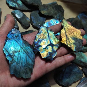Op de afbeelding: Een verzameling ruwe labradorietstenen, met een spectrum aan kleuren waaronder blauw, groen en geel. De stenen hebben een ruwe, natuurlijke textuur en worden in een hand gehouden, wat hun unieke iriserende effect en natuurlijke schoonheid benadrukt.