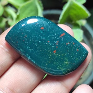 Cabochon di eliotropio naturale, cabochon di pendenti con eliotropio, gemma di eliotropio di forma particolare, eliotropio sfuso, prezzo all'ingrosso per gioielli