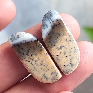 Par de cabochões de opala dendrítica, pedra preciosa de opala dendrítica, pedra preciosa polida, pedra preciosa de formato sofisticado, pedra preciosa solta, fabricação de opala dendrítica para joias